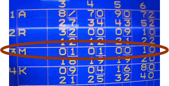 My bowling prowess.