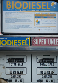 biodiesel pump