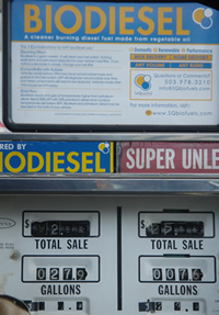 biodiesel pump