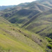  The scenery was surprisingly green.