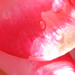  Oh, did I mention there were roses?