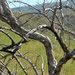  But the flora was remarkably different from that in Oregon.