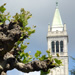  The Campanile at Berkeley.