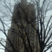  The Tower of Learning at Pitt.