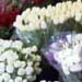  Mom at a flowershop.