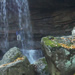  Mukesh and me under the falls.