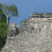 Coba, the second-tallest Mayan temple.  Getting up wasn't too difficult, but the vertiginous view back down made the descent treacherous.