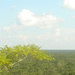  View from the top of Coba.  Dozens of other temples are still buried in the forest.