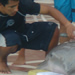 First, they'd splash the dolphins with water and slap their backs . . .