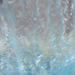  And then splash.  A <a href='/media/dolphins.WMV'>movie</a> of the handlers putting a dolphin in the pool is available.
