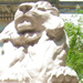  The New York Public Library's famous lion