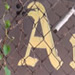  Random sign in the East Village
