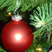  Ornaments hanging from the tree.