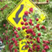  Street sign on NW 25th around Marshall.